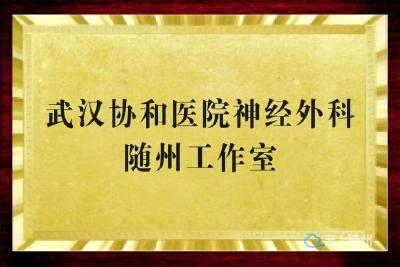好消息！“近”享顶尖医疗服务！协和医院神经外科知名专家团队每周四到市中心医院坐诊、手术！