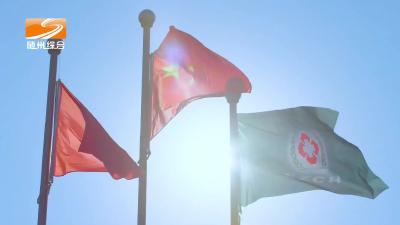 2025年 8月13日 随州新闻