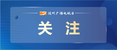 市委常委会召开会议