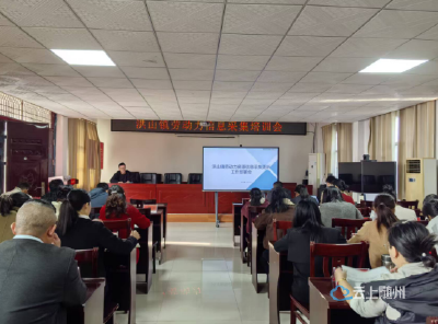洪山镇：为乡村振兴，注入人力动能 ——洪山镇举办劳动力信息采集培训会