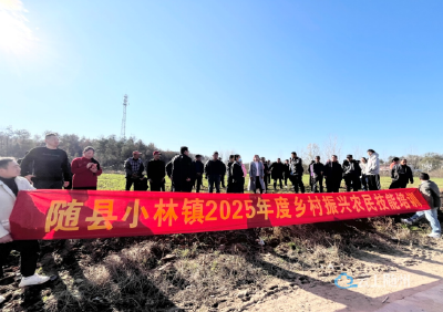 小林镇举办乡村振兴技能培训  田间课堂为农技赋能