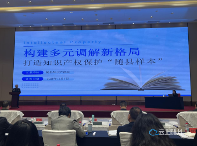 随县知识产权多元调解改革经验亮相全省 入选三家交流发言单位