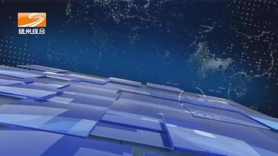 2025年11月22日 随县新闻