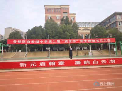 【优化营商环境】白云湖小学：翰墨飘香润童心 妙笔生花展风采