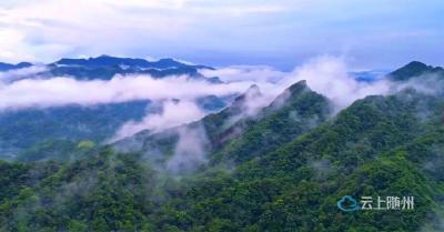 湖北中华山鸟类省级自然保护区生态保护成效评估获评“优秀”