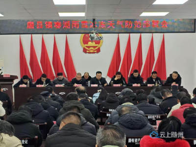 抢在雪前，干在雪中 ——唐县镇多措并举筑牢群众安全屏障