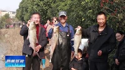 V视|精准监督惠民生 闲置塘变“幸福堰”