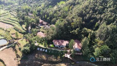 恋上随州 从年开始  ———冬青泉畔：年味浓人气旺 乡村文旅喜迎“开门红”