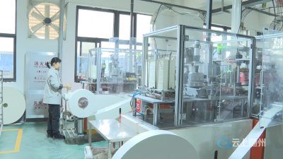 广水：向新而行  “小纸杯”勇闯大市场