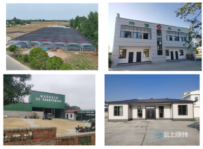 政府搭台服务暖心洪山镇综合农事服务中心激活农业新动能