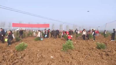 植绿添新景 增收促振兴  随县开展义务植树活动