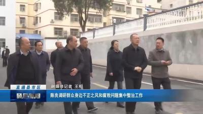 陈良调研群众身边不正之风和腐败问题集中整治工作