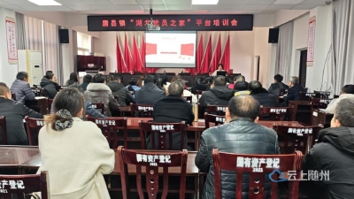 以训赋能强本领 平台聚力促提升 | 唐县镇党建办组织“湖北党员之家”平台培训会 