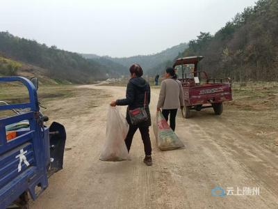 干群同心“洁”力行 昔日“神山”焕新颜