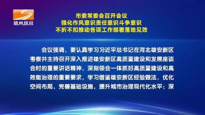 V视| 市委常委会召开会议 强化作风意识责任意识斗争意识 不折不扣推动各项工作部署落地见效