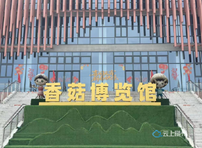 菇香闹元宵 品牌耀随县——随县香菇博览馆借佳节传扬香菇特色