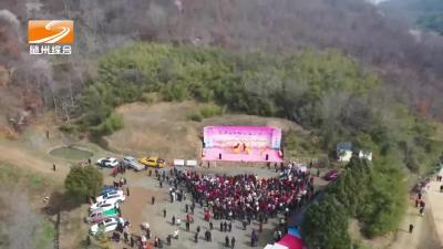 樱香满园乐享春日盛宴 柳林镇第四届樱花游园会浪漫启幕