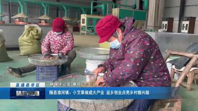 随县淮河镇：小艾草做成大产业 返乡创业点亮乡村振兴路