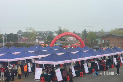 政策找人、服务上门：新就业群体社保覆盖再升级 ——市、县联动开展“12333全国统一咨询日”活动