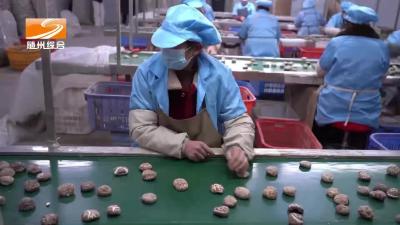 《锚定“三地一枢纽”  建功支点开新局》万佳食品：让随州香菇香飘海内外