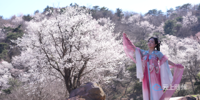 @所有人 别等了！大洪山拍了拍你：走，赏花去！