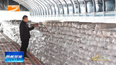 V视| 《礼乐之城 文明随行》独臂青年陈力:自强不息创产业 扶残助弱共发展