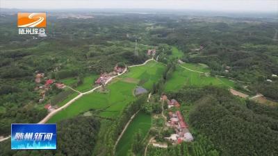 V视| 农村产权交易平台：盘活集体资产 共享改革红利