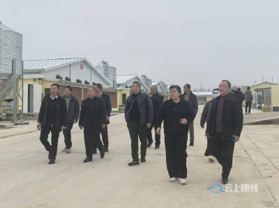 人大代表在行动丨聚力打造中药材小镇 助推产业强镇建设 