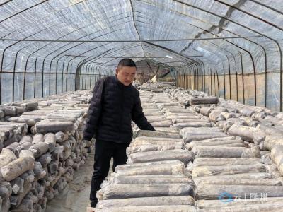 独臂青年陈力:自强不息创产业 扶残助弱共发展