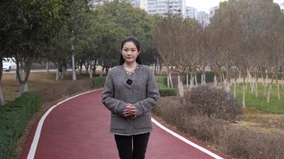 厉山镇：以千强镇实力 谋“十五五”开局新篇