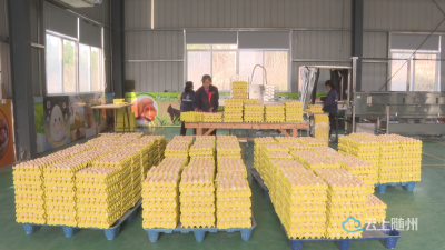 广水：孵化“一枚蛋” 延伸“致富链”