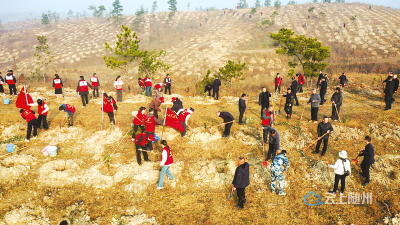 市领导参加义务植树活动