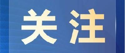 残疾人法规之窗