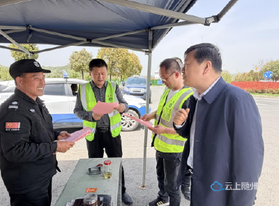 长岗镇清明期间实现“零火点、零火情”