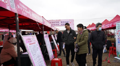春风送岗润民心 人社护航促就业 ——2026年随州市“春风行动暨就业援助季”圆满收官