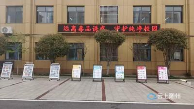 筑牢防毒屏障 守护青春净土——府河小学向光校区春季禁毒宣传教育活动侧记