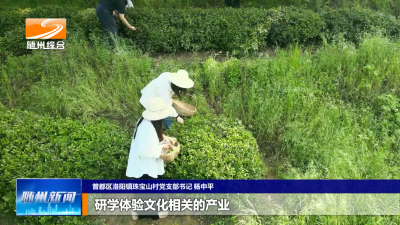 V视| 《我们的村落》珠宝山村：农茶文旅融合 绘就乡村振兴新画卷