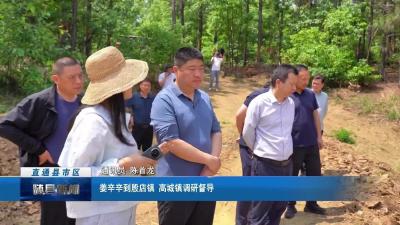姜辛辛到殷店镇 高城镇调研督导