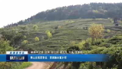 青山古观茗香远 茶旅融合富乡邻