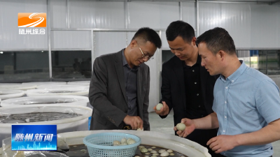 V视| 《锚定“三地一枢纽”  建功支点开新局》  广水：兄弟三人20年坚守 打拼出一个亿元蛋业“王国”