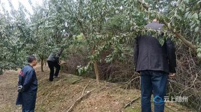 疏通民生脉络 引水润泽民心——吴山镇肖家塆居委会水利渠道修缮惠民工程