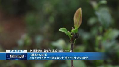 《融媒体公益行》三代匠心守技艺 一片紫茶富乡亲 随县王生全返乡创业记