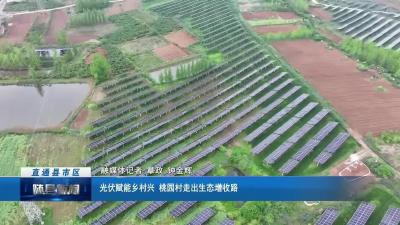 光伏赋能乡村兴 桃园村走出生态增收路
