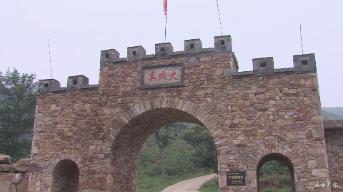 政府办公厅副主任何丽君率考察团到武胜关镇桃源村考察学习_云上广水