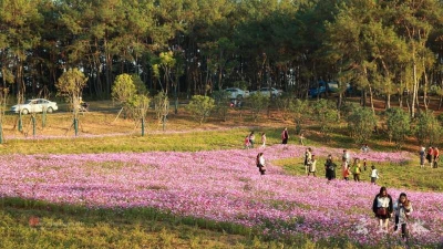 印台山文化生态园最新进展情况来了，快来打卡！