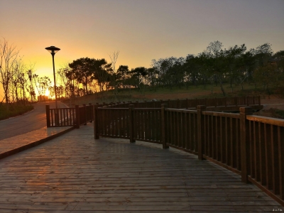 这样的文化生态园，你喜欢吗？