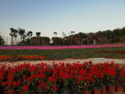 这样的文化生态园，你喜欢吗？