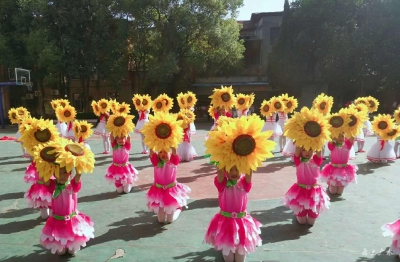 广水市第五届映山红美育节中部片区优秀文艺节目展演