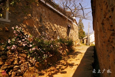 美哭了！桃源秋色，随手一拍就是大片......