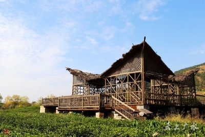 美哭了！桃源秋色，随手一拍就是大片......